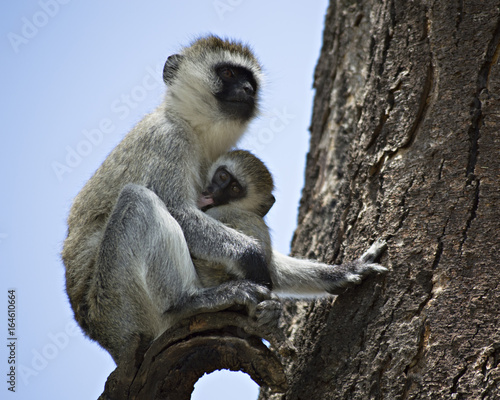Mother Nursing Baby 2