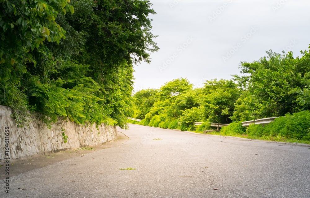 City Street Racetrack with a roadside trees using wallpaper or background  for transportation work. Stock Photo | Adobe Stock