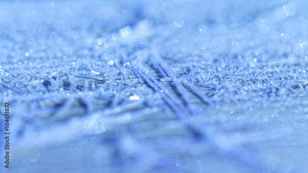 Obraz premium Morning frost - macro picture