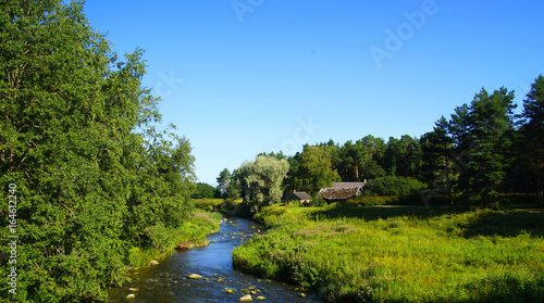 Beautiful and scenic landscape with forest and river. Countryside and nature concept.