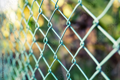 Wire fence with green grass on background