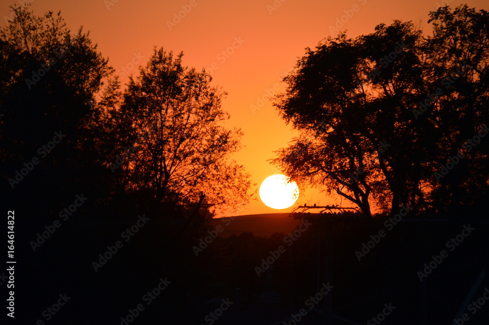Sunset between trees in Guthrie Center, Iowa