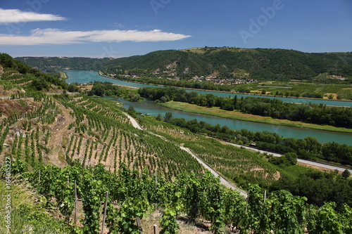 Vignobles de la Vallée du Rhône, Rhône Alpes Auvergne France