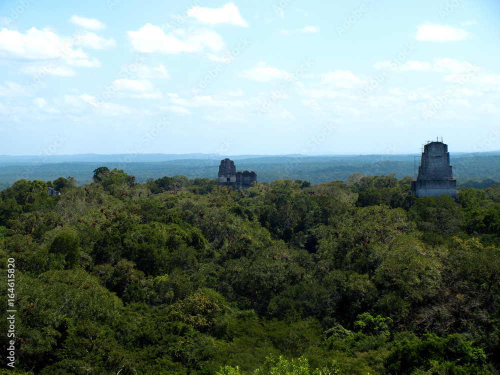 Jungle Canopy, Tikal Guatemala
