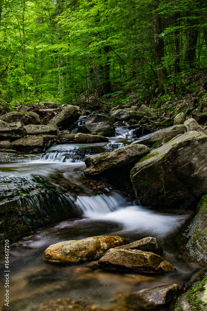 Serene Stream