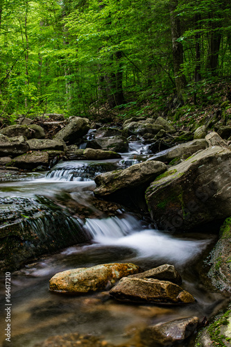 Serene Stream