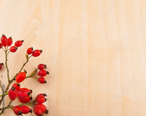 Wild rose with hips on wooden base - autumn decorative background