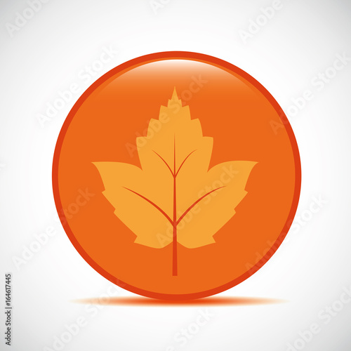 herbstblatt im kreis