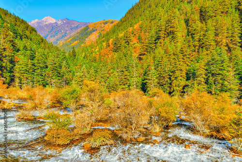 Autumn view of Pearl Shoals with pure water. photo