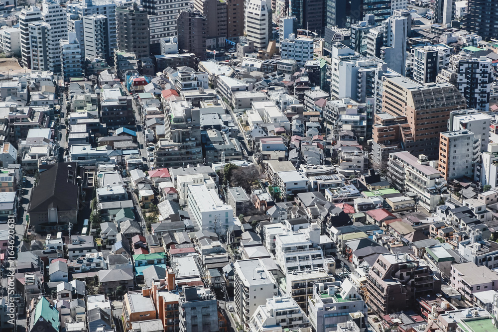 Fototapeta premium Big city in Japan top view with many buildings and streets. Architecture and business background