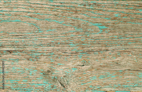 Obraz na płótnie Wooden board, painted in green color with cracked and peeling paint. w salonie
