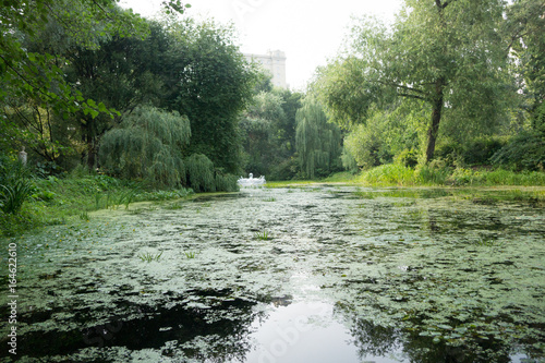 botanical garden pond