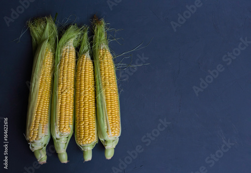Fresh corn on cobs against a dark background, closeup, copy space
