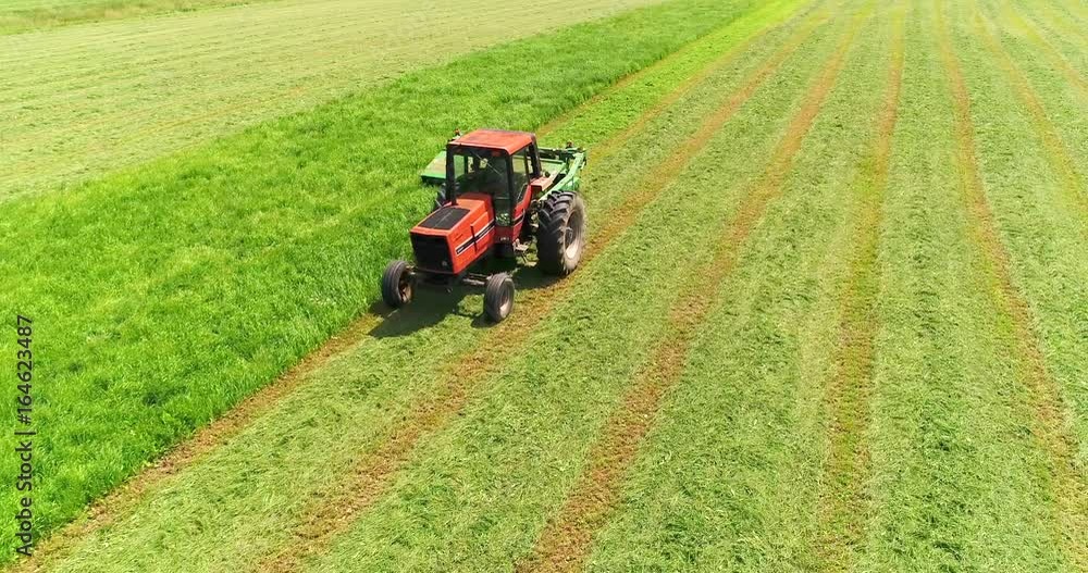Tractor harvesting crop in field, aerial view.
Tractor harvesting crop in field, aerial view.