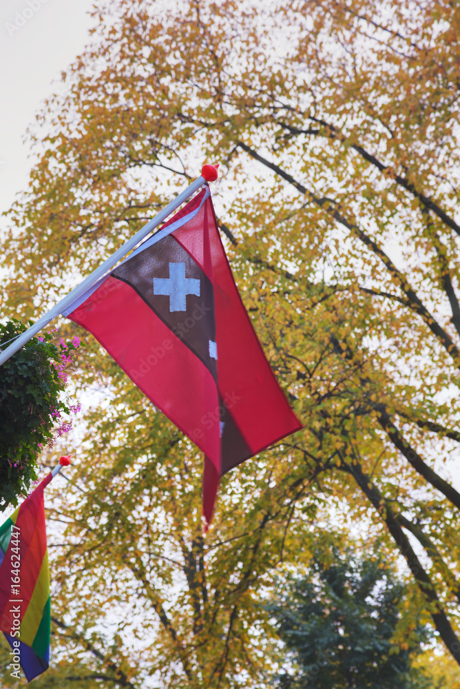 Amsterdam city official flag