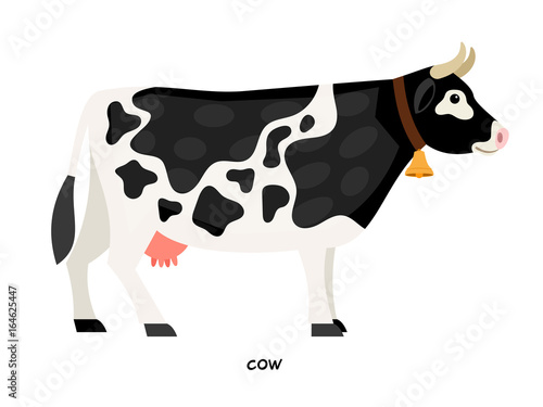 Cow farm animal