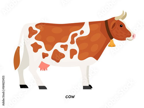 Cow farm animal