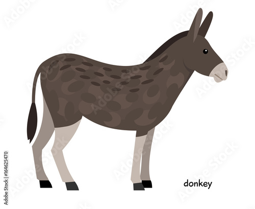 Donkey farm animal