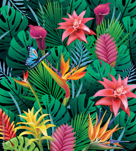 Background with exotic tropical flowers