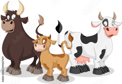 Cartoon cow, calf and bull. Cow family.
