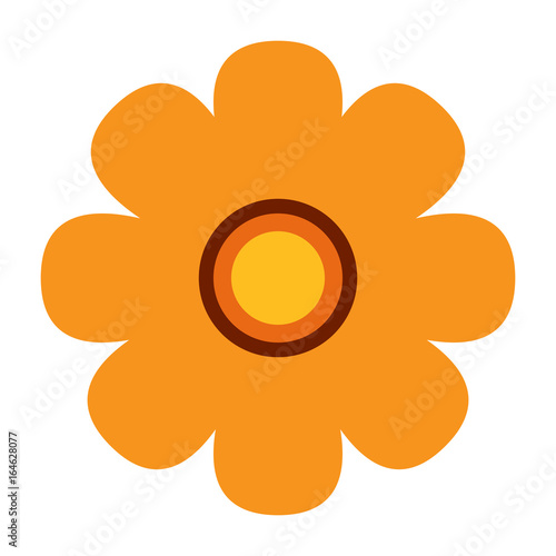 Isolated flower on a white background, flat style, Vector illustration