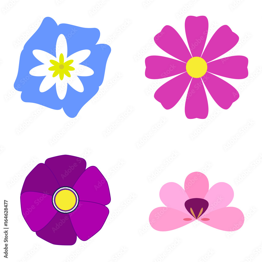 Set of flowers on a white background, flat style, Vector illustration