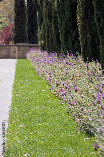 Flowerbeds in one of the park