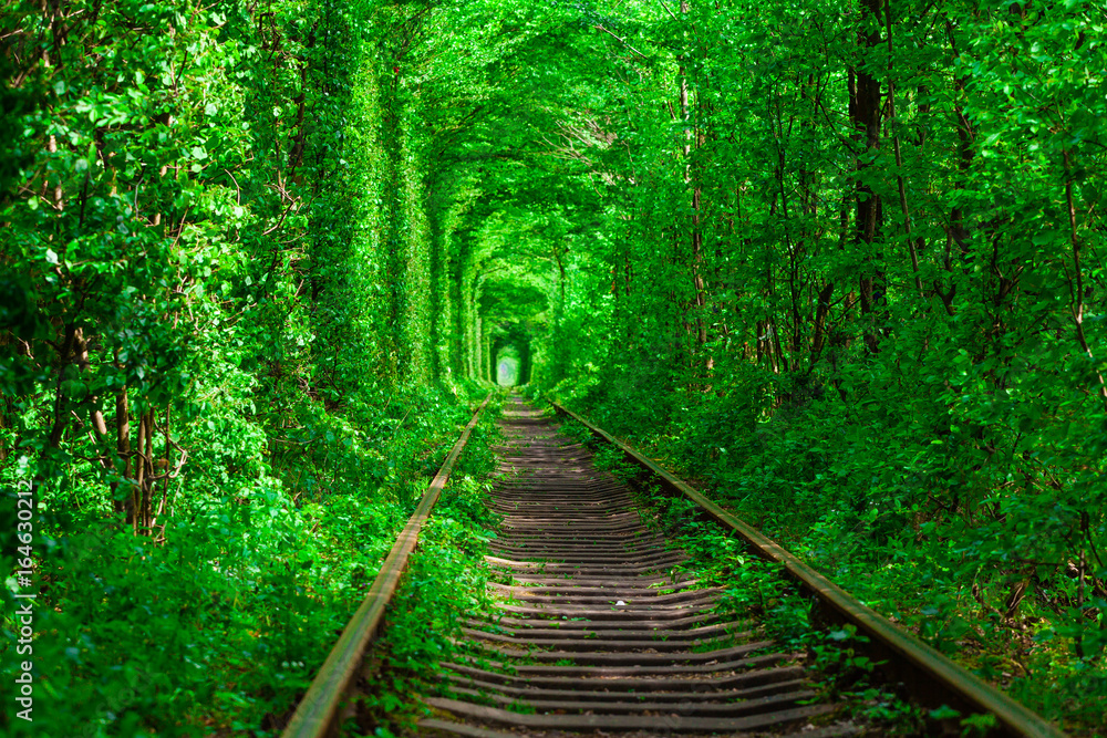 a railway in the spring forest tunnel of love - obrazy, fototapety, plakaty 