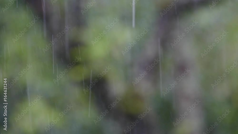 Drops of rain on a green background, slow Drops of rain on a green background, slow