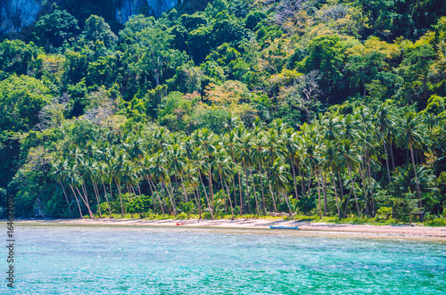 Palm trees on Cadlao Island, El Nido, Palawan, Philippines