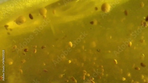 Pickling spices floating in liquid photo