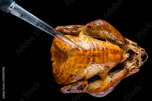 Fotografija Top view of turkey on cutout background