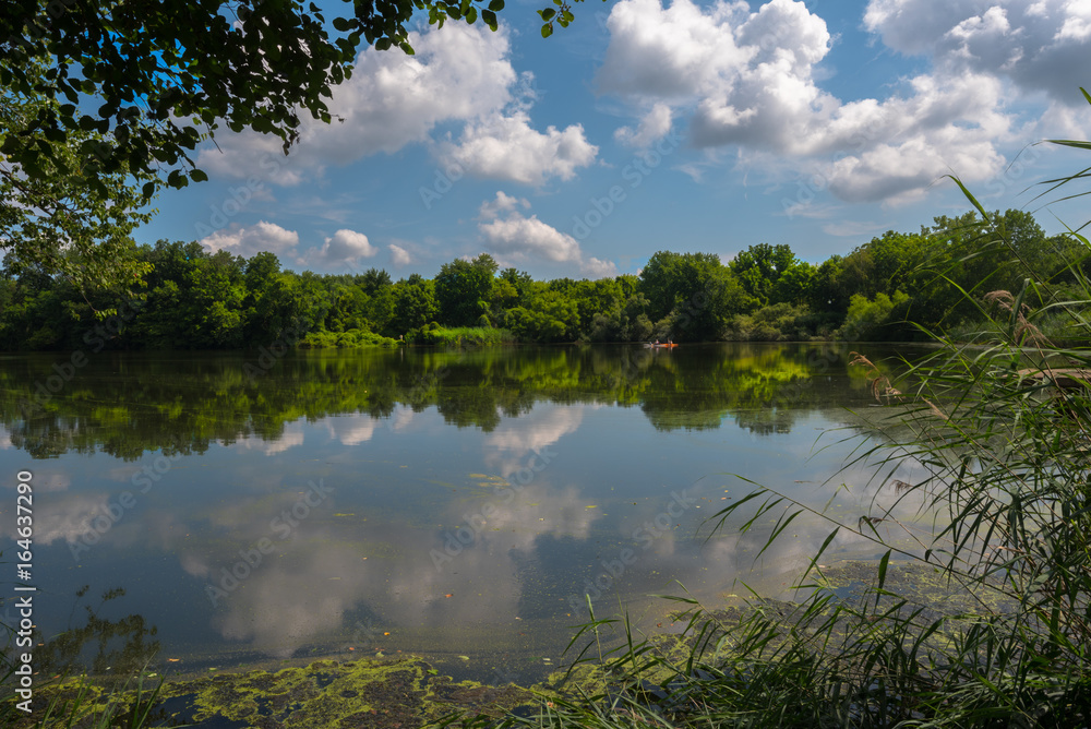 Fototapeta premium Lake in the Forest