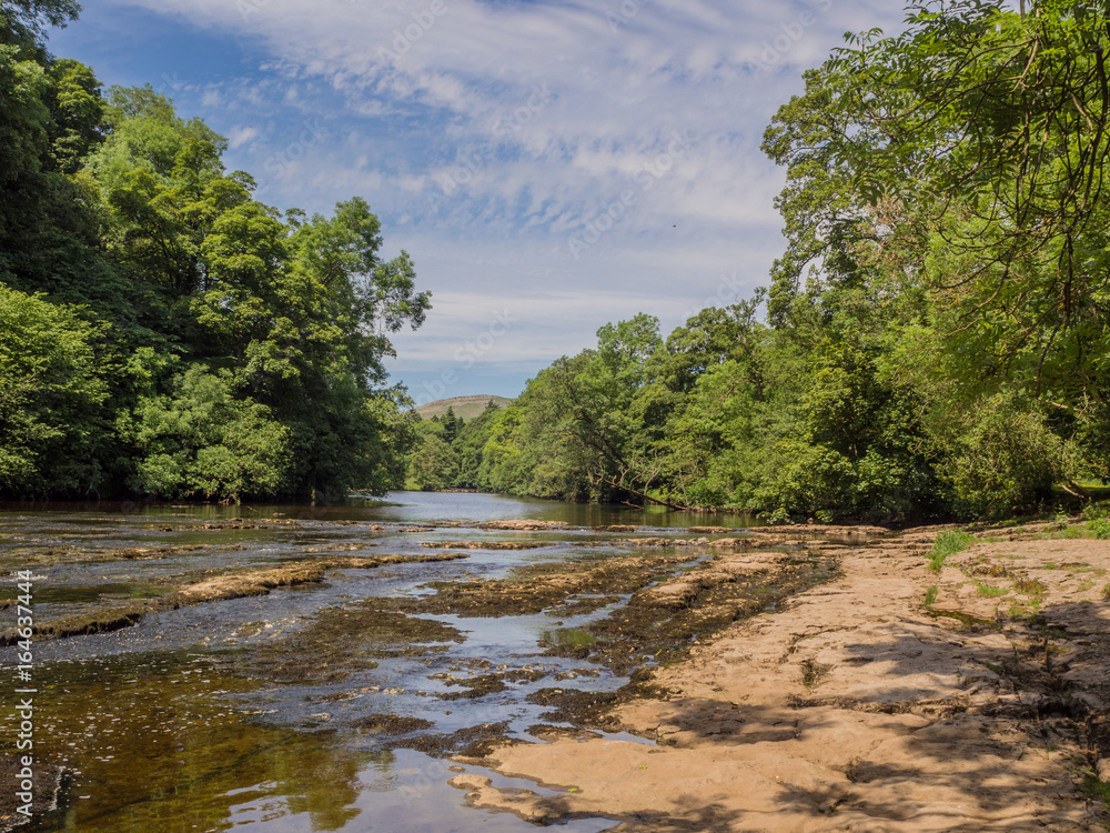 Obraz premium The Lower Falls, Aysgarth waterfalls on beautiful summers day at Aysgarth, Leyburn, North Yorkshire, UK