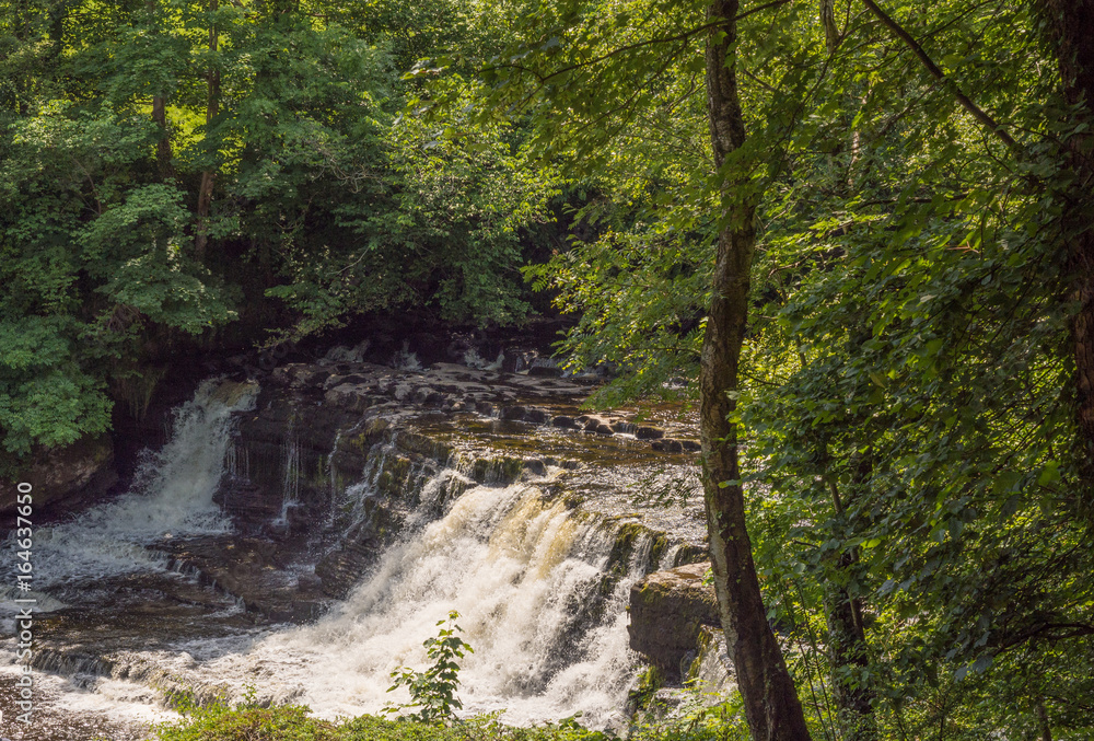 The Middle Falls, Aysgarth waterfalls on beautiful summers day at Aysgarth, Leyburn, North Yorkshire, UK The Middle Falls, Aysgarth waterfalls on beautiful summers day at Aysgarth, Leyburn, North Yorkshire, UK