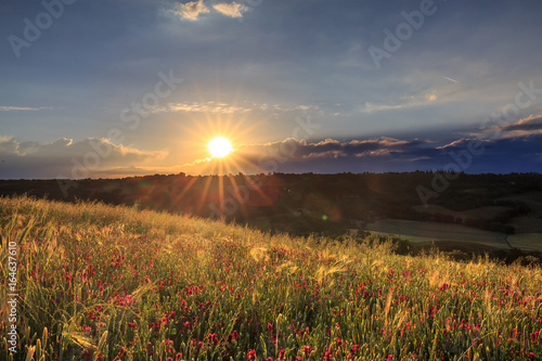 Sonnenaufgang im Feld