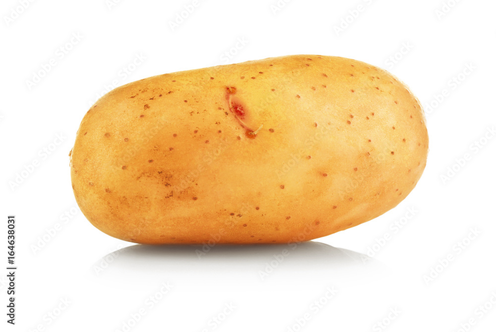 Raw unpeeled potato on white background Raw unpeeled potato on white background