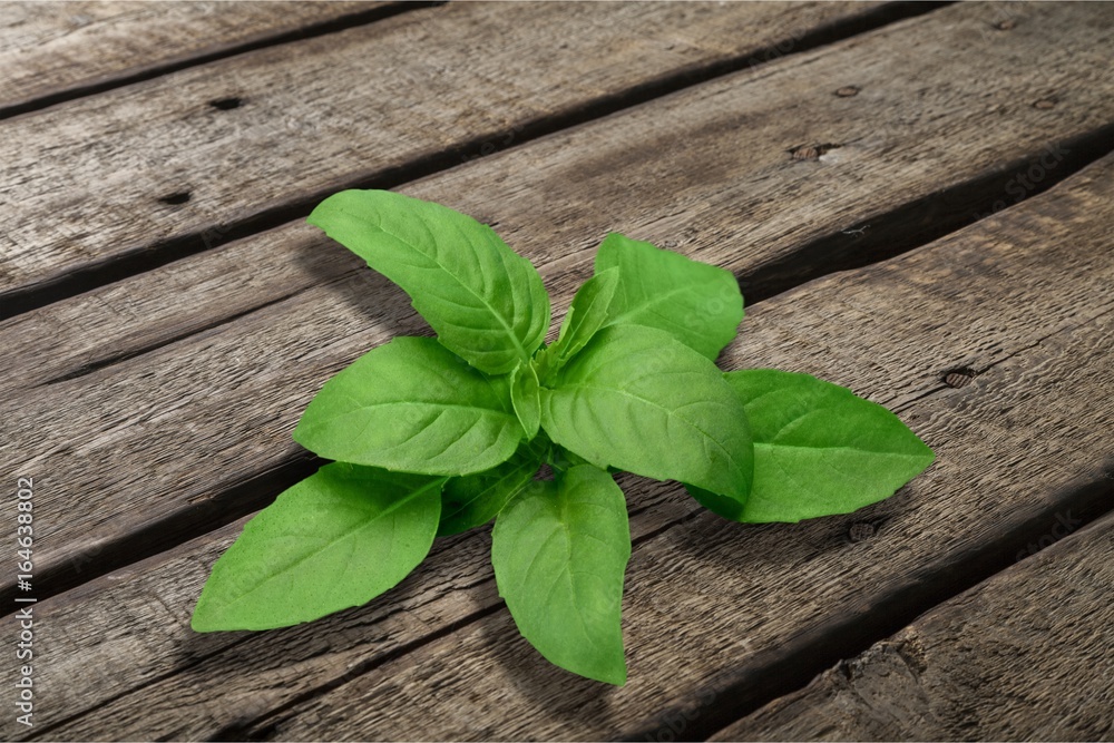 Basil. Basil.