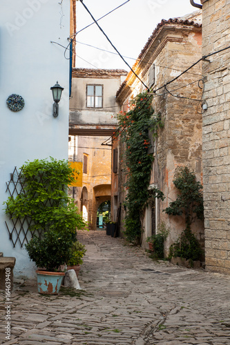 Typical Groznjan alley