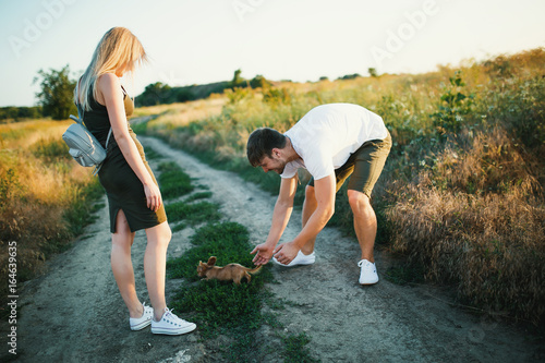 Romantic Couple at Sunset with small puppy of chihuahua dog. Two people in love at sunset or sunrise. Man and woman on field