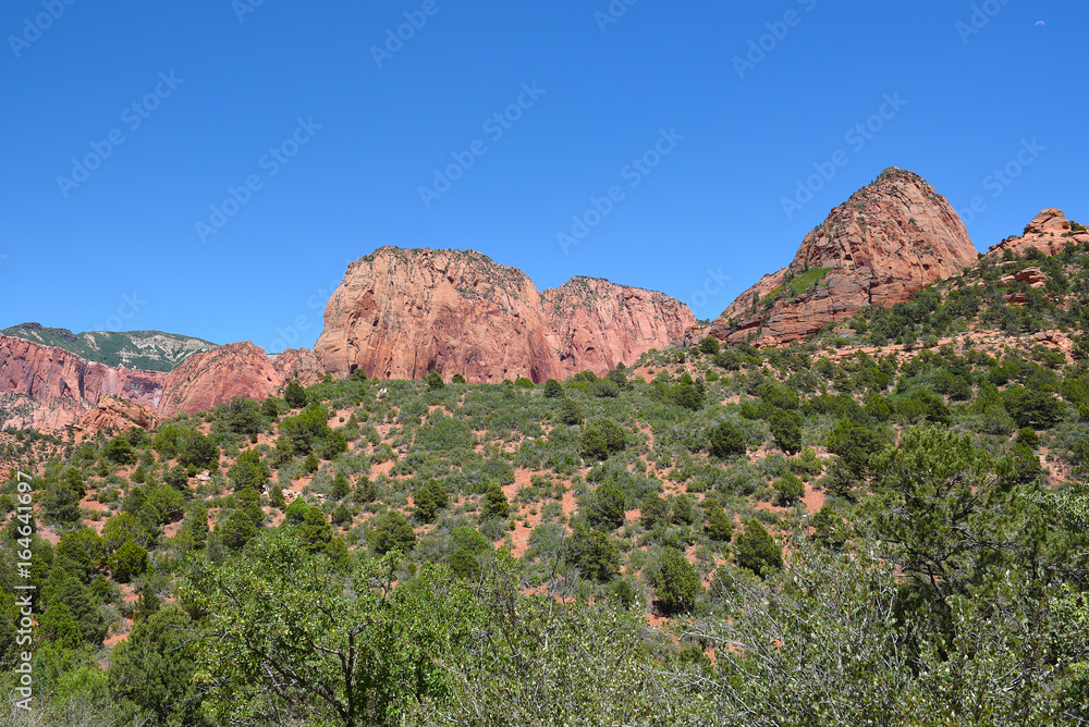 Fototapeta premium Kolob Canyons Zion