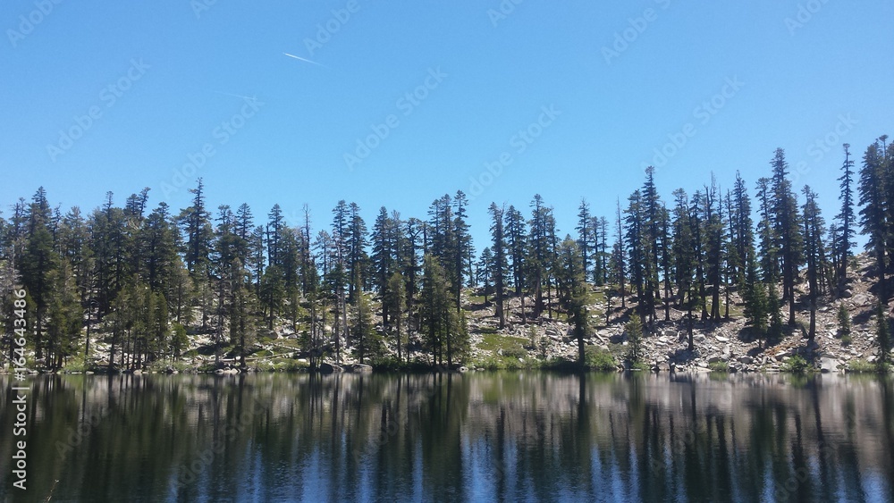 Lake and forest Lake and forest