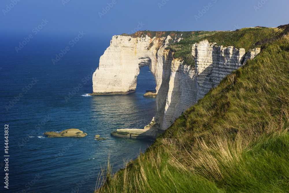 Obraz na plátně Etretat cliff France