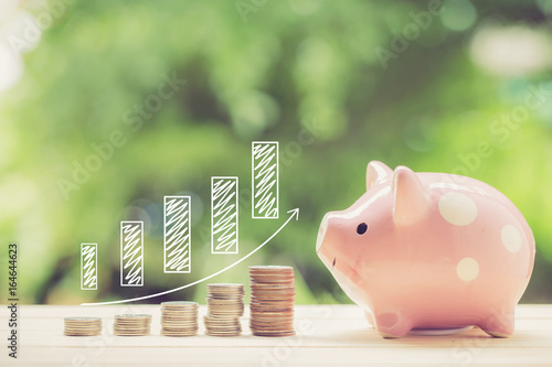 Money coins stack growing graph and piggy bank nature background, business concept. photo