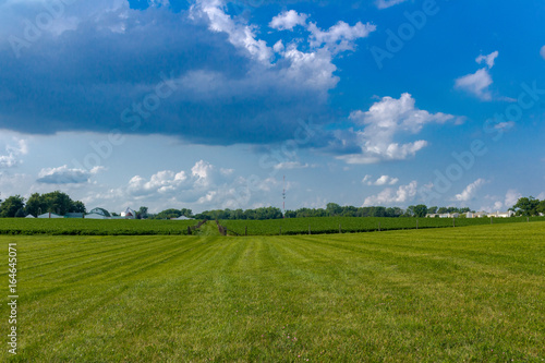 Indiana Farmland