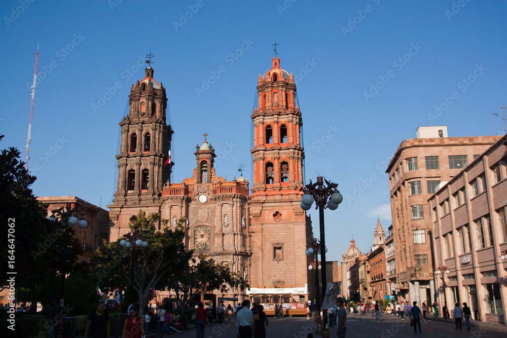 Obraz premium Cathedral San Luis Potosi, Mexico