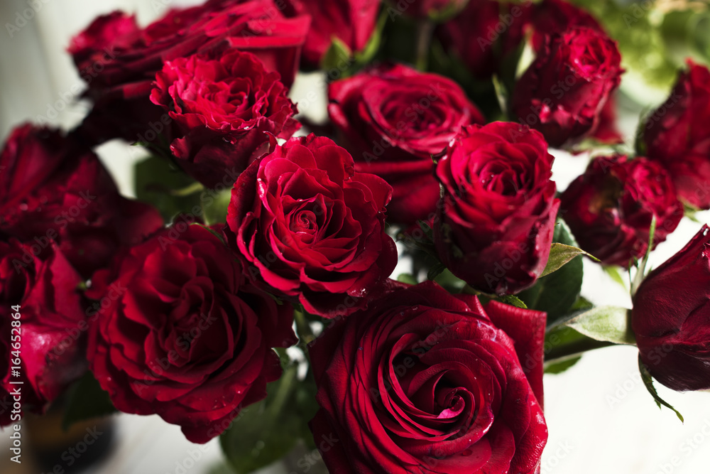 Fresh Red Roses Flowers Arrangement Nature Refreshment Fresh Red Roses Flowers Arrangement Nature Refreshment