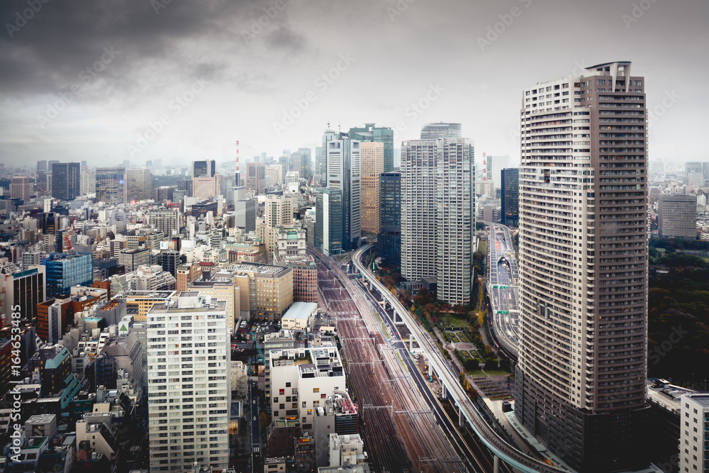 Fototapeta premium Tokyo