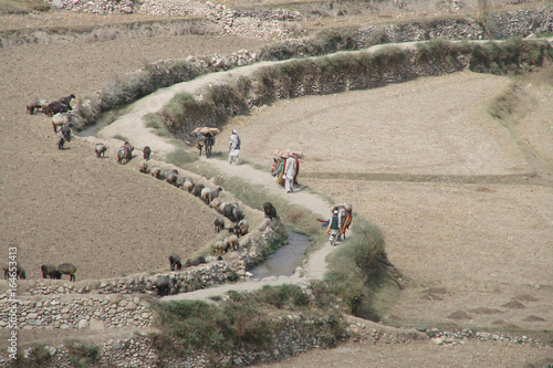 Transporting Goods Along Mountain Trail in Nangarhar Province, Afghanistan