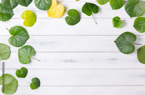 pattern heart shaped green leaf on white wood background
